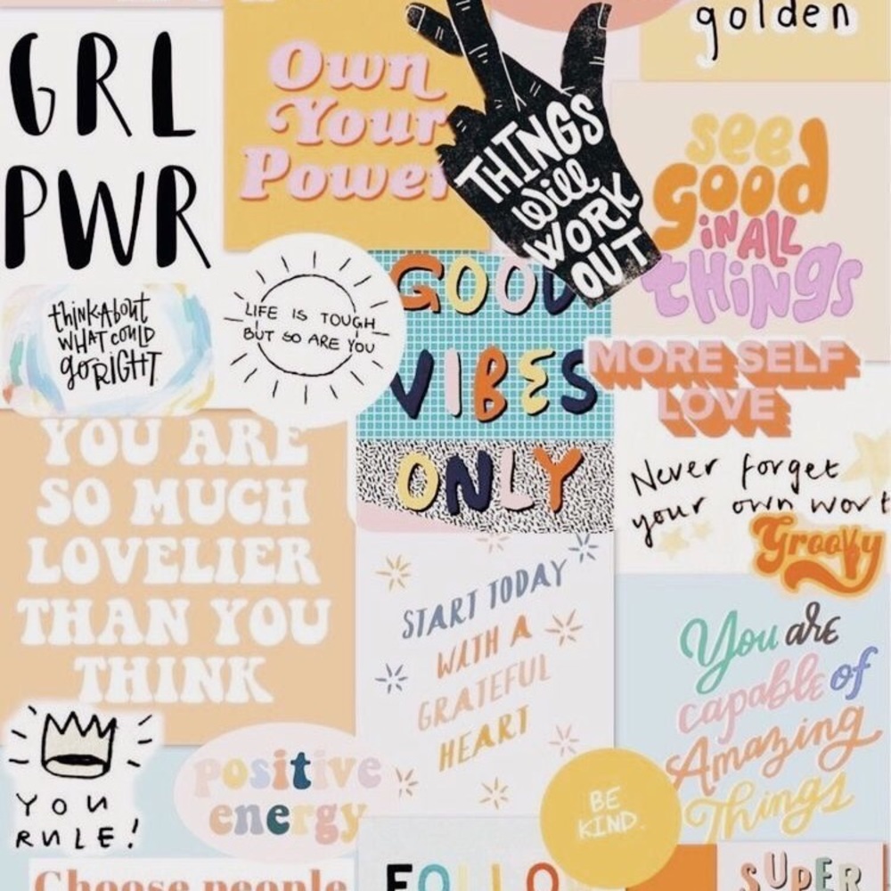 Meet your Posher, Molly